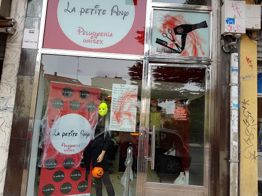 Información y opiniones sobre La Petite Any de Burgos