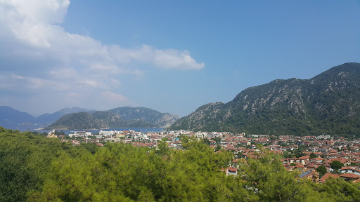 Halit Narin Mesleki Ve Teknik Anadolu Lisesi