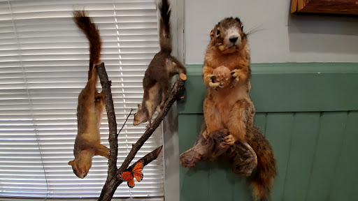 Museum «Hardin County History Museum», reviews and photos, 201 W Dixie Ave, Elizabethtown, KY 42701, USA