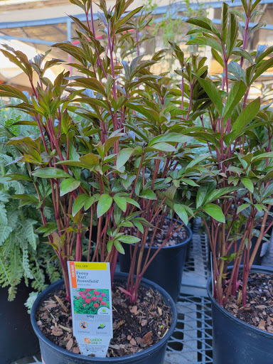 Home Improvement Store «The Home Depot», reviews and photos, 172 Fulton Ave, Hempstead, NY 11550, USA