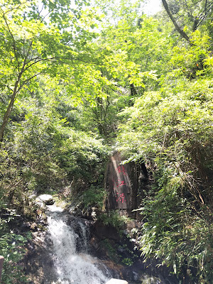 Main Photo