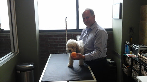 Pet Supply Store «EarthWise Pet Supply East Village», reviews and photos, 1051 Market St, San Diego, CA 92101, USA