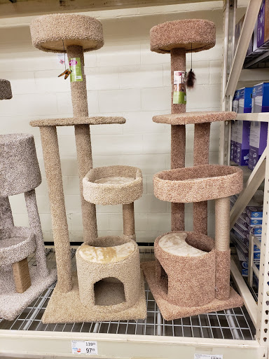 Pet Supply Store «PetSmart», reviews and photos, 104 Andover St, Danvers, MA 01923, USA
