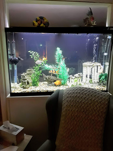 Pet Supply Store «PetSmart», reviews and photos, 1220 N Eagle Rd, Meridian, ID 83642, USA