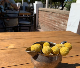 Dos Raíces Casa Tostadora de Café photo