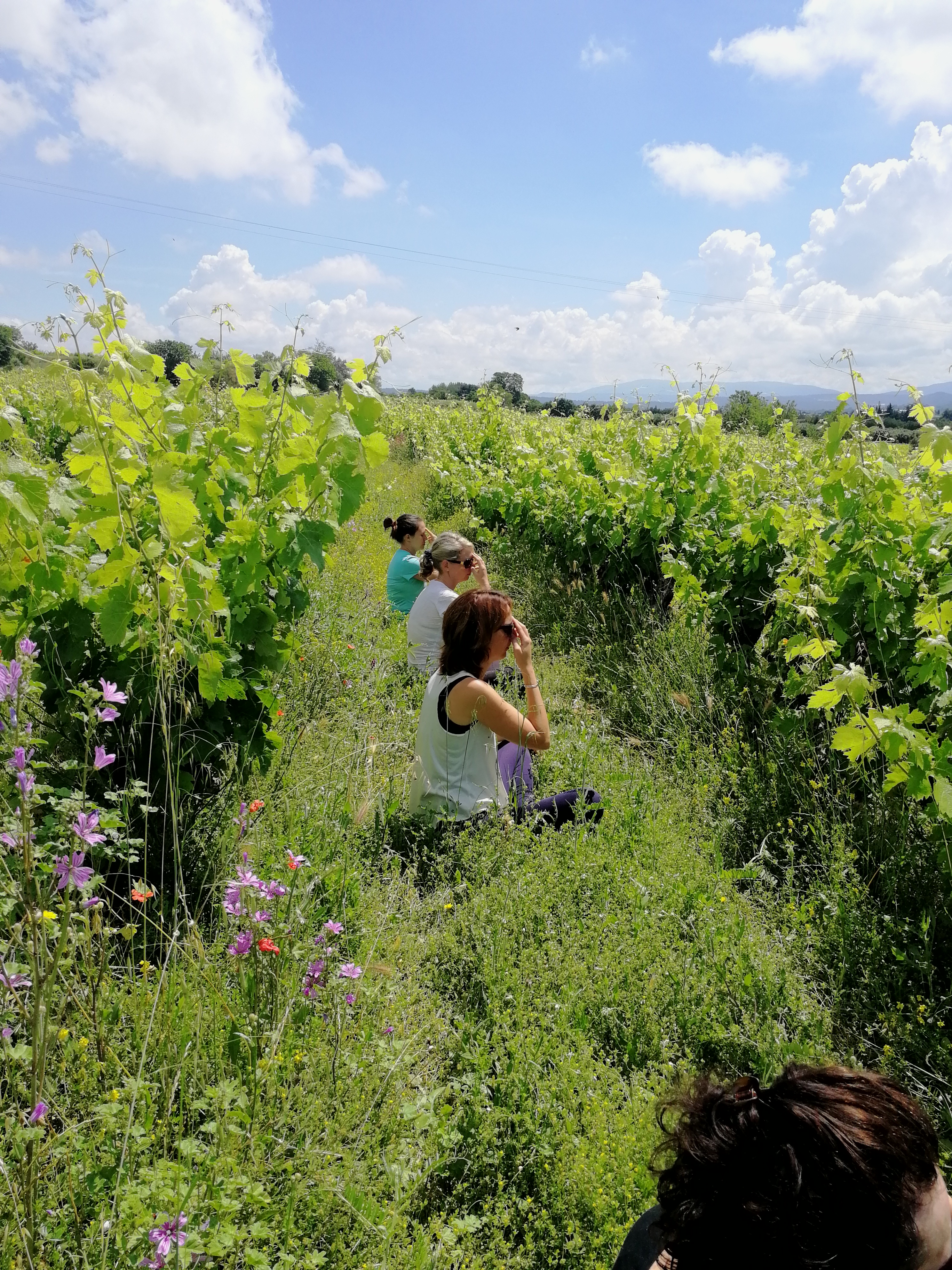 Photo n° 2 de l'avis de YOGA.y fait le 22/06/2018 à 11:11
