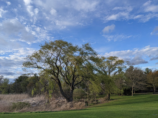 Park «Danehy Park», reviews and photos, 99 Sherman St, Cambridge, MA 02138, USA