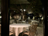 Atmosphère du Restaurant gastronomique Restaurant L'Oustau de Baumanière à Les Baux-de-Provence - n°17