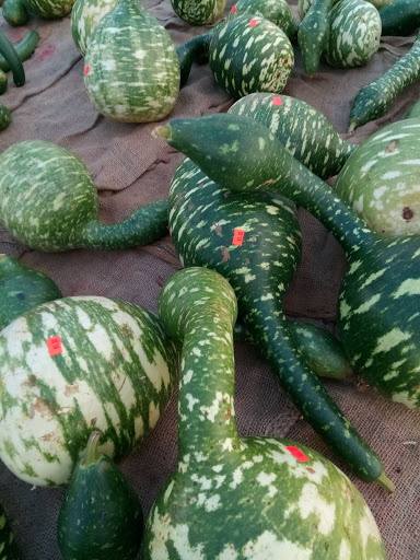 Farm «Four Town Farm», reviews and photos, 90 George St, Seekonk, MA 02771, USA