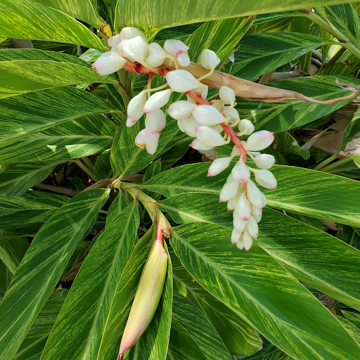 Tourist Attraction «Exploration Tower», reviews and photos, 670 Dave Nisbet Dr, Cape Canaveral, FL 32920, USA