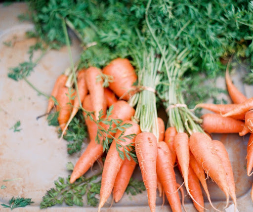 Wellness Center «Wilcox Wellness & Fitness», reviews and photos, 224 Union St, Bangor, ME 04401, USA