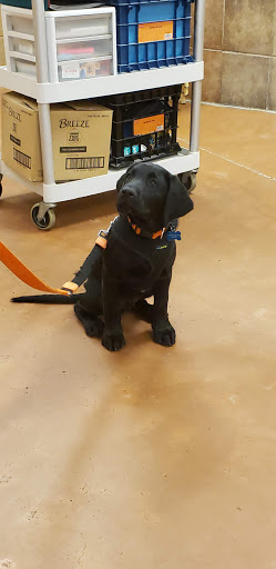 Pet Supply Store «PetSmart», reviews and photos, 637 Woodbury Glassboro Rd, Sewell, NJ 08080, USA