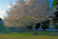 Tri-County Technical College - Photo 3 - Car repair in Pendleton, SC, Montgomery