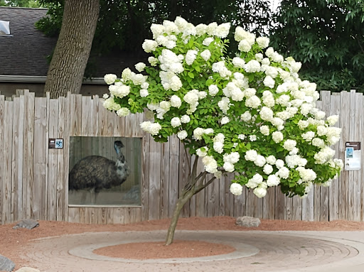 Zoo «Columbian Park Zoo», reviews and photos, 1915 Scott St, Lafayette, IN 47904, USA