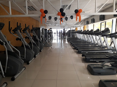 GIMNASIO PACIFIC SUCURSAL VIÑA DEL MAR