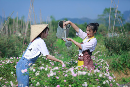 Vườn Hướng Dương Đà Quận