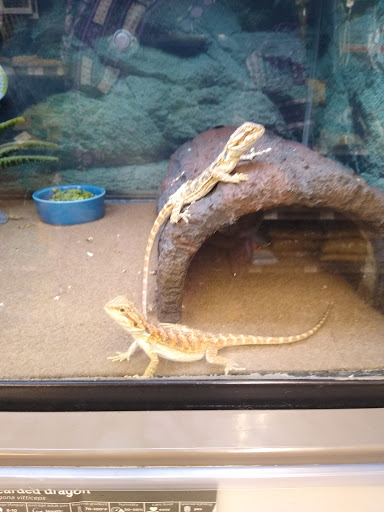 Pet Supply Store «Petco Animal Supplies», reviews and photos, 86 Storrs Rd, Mansfield Center, CT 06250, USA