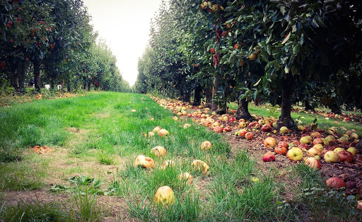 Beilke Family Farm