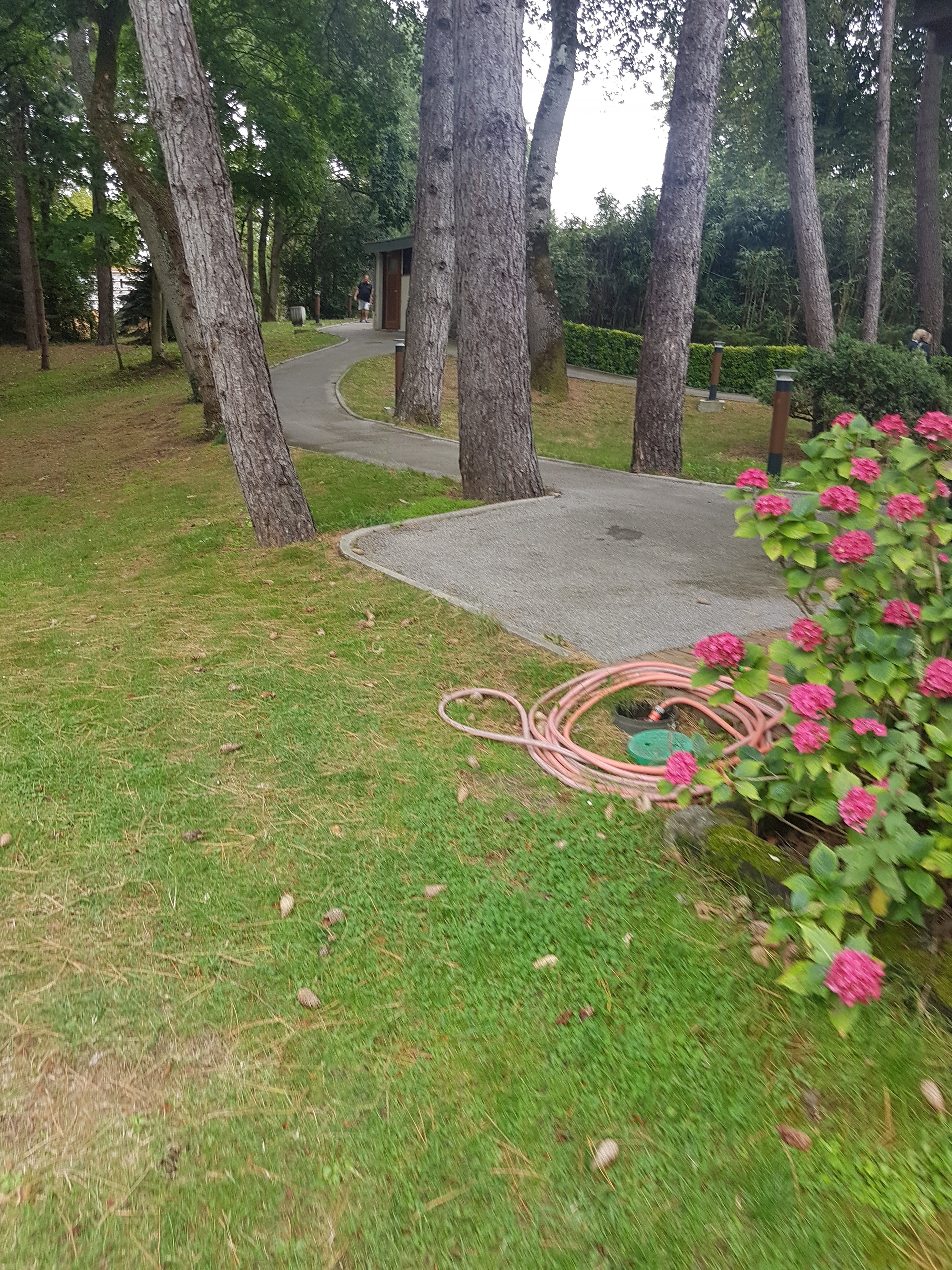 Photo n° 9 de l'avis de Elizabeth.i fait le 13/08/2019 à 12:09