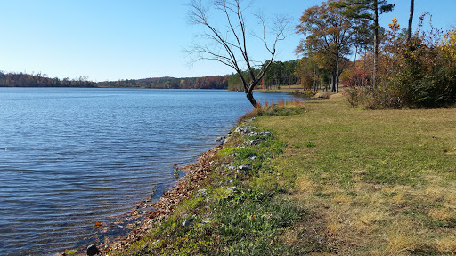 Supermarket «Publix Super Market at Guntersville Landing», reviews and photos, 2300 Gunter Ave, Guntersville, AL 35976, USA