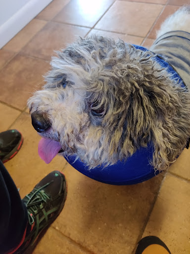 2 2nd Ave, Haddon Heights, NJ 08035, USA