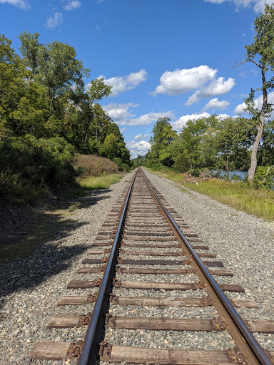Tourist Attraction «Dinosaur Footprints», reviews and photos, US-5, Holyoke, MA 01040, USA