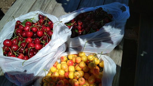 Produce Market «Washington Fruit Place At Barrett Orchards», reviews and photos, 1209 Pecks Canyon Rd, Yakima, WA 98908, USA