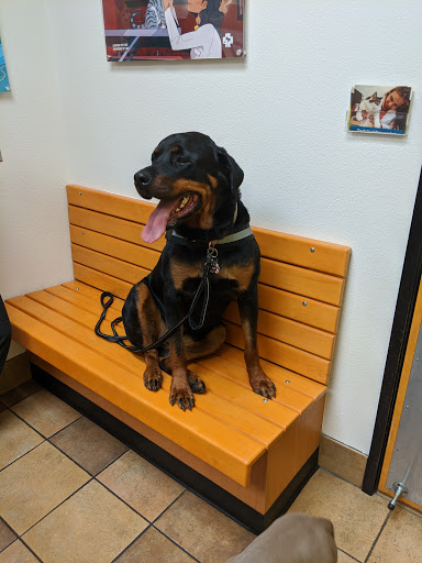 Pet Supply Store «PetSmart», reviews and photos, 2 Brick Plaza, Brick, NJ 08723, USA