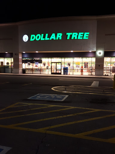 Dollar Store «Dollar Tree», reviews and photos, 1951 Wentzville Pkwy, Wentzville, MO 63385, USA