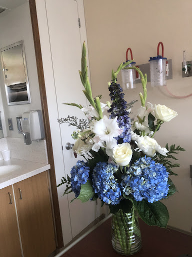 Florist «Dillon-Chapin Inc», reviews and photos, 161 White St, Hartford, CT 06114, USA