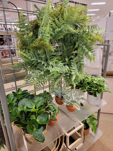 Department Store «JCPenney», reviews and photos, 1600 N Jackson St, Tullahoma, TN 37388, USA