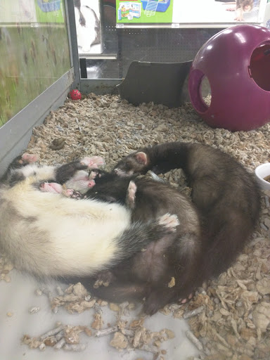 Pet Supply Store «Petco Animal Supplies», reviews and photos, 1011 University Blvd #100, Suffolk, VA 23435, USA