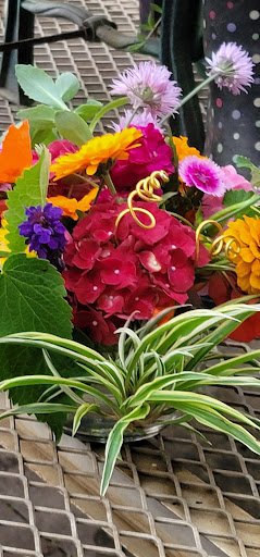 Florist «St. Clair Greenhouses & Florist», reviews and photos, 7043 Big Hand Rd, St Clair, MI 48079, USA