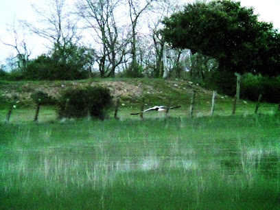 Laguna Grande
