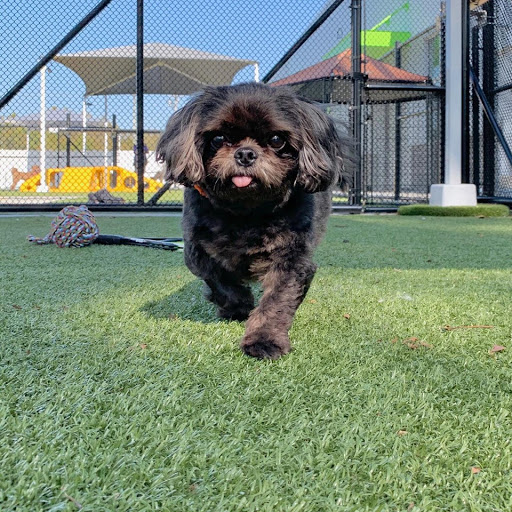 PetSuites Fern Creek