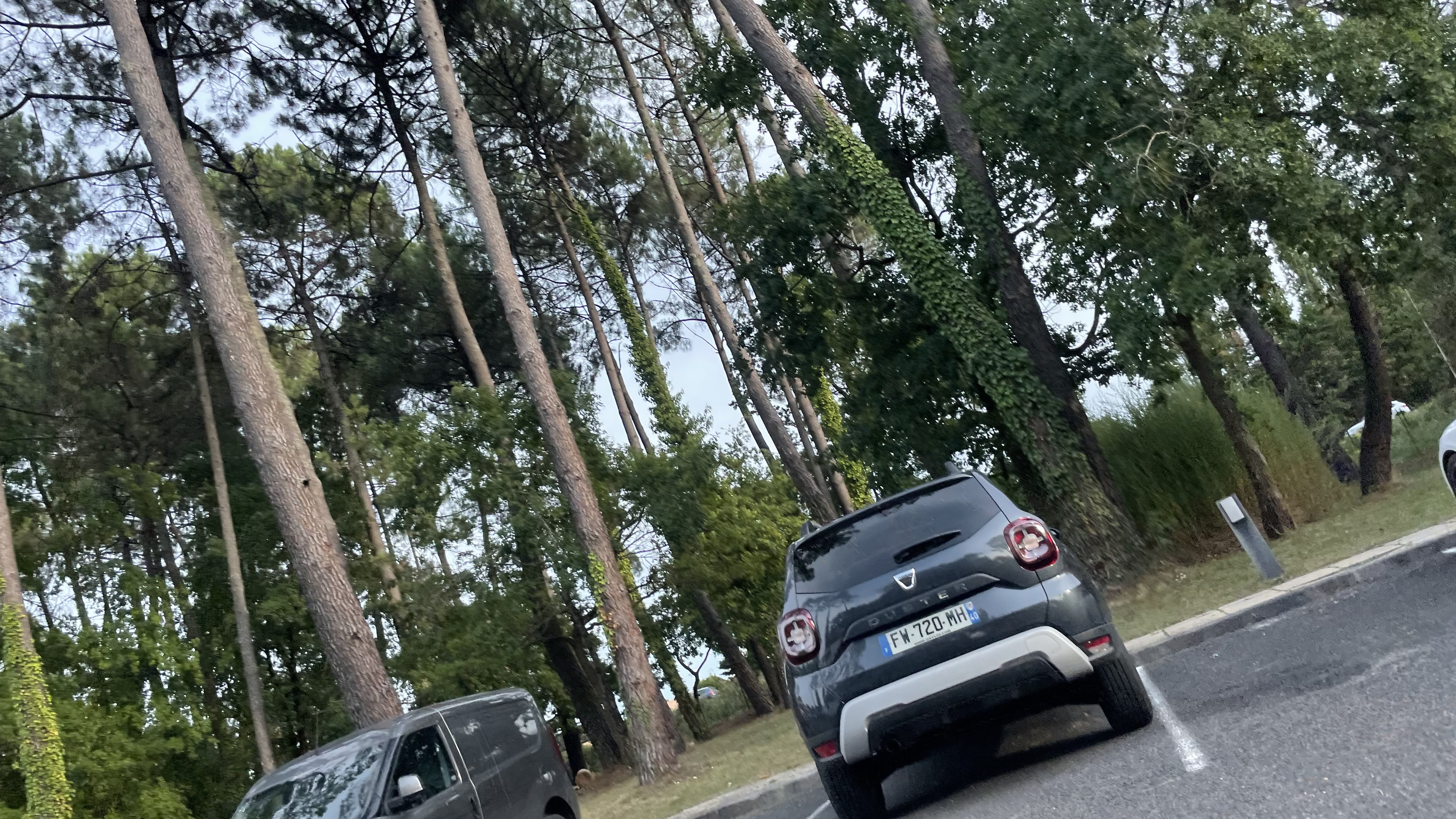 Photo n° 5 de l'avis de Zelig.0 fait le 27/08/2022 à 13:47