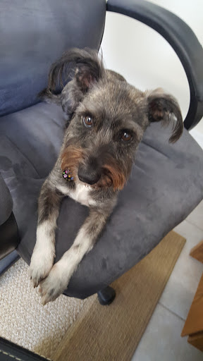 HVAC Contractor «Mid-Florida Heating & Air», reviews and photos