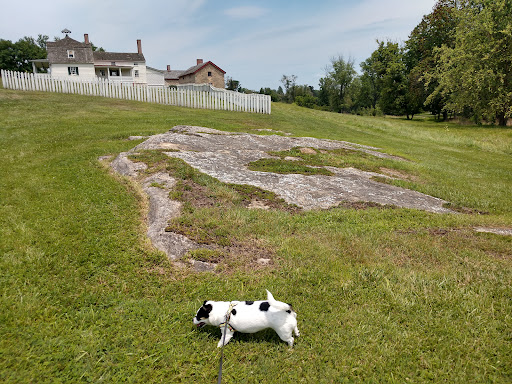 National Park «Hampton National Historic Site», reviews and photos, 535 Hampton Ln, Towson, MD 21286, USA