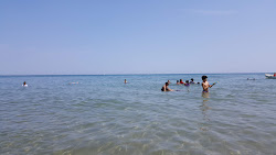 Foster Beach'in fotoğrafı - rahatlamayı sevenler arasında popüler bir yer