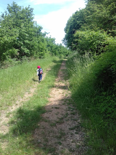 Site naturel protégé de la Boucherette à Lugny