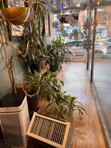 Explore yin yang tattoo ideas, creative tattoo ideas in Northampton, available at Luckys Tattoo and Piercing