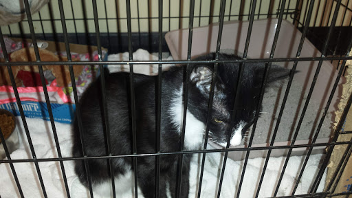 Pet Supply Store «Petco Animal Supplies», reviews and photos, 330 Orchard Park Rd, West Seneca, NY 14224, USA