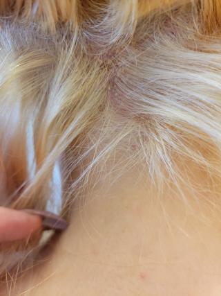 Hair Salon «Hair Cuttery», reviews and photos, 2188 White St, York, PA 17404, USA