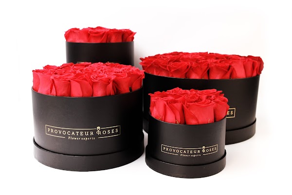 Imagen de Floristeria Provocateur Roses (5 de 8)