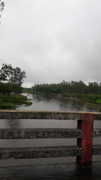 Photos of Tetulia Tea Company Limited