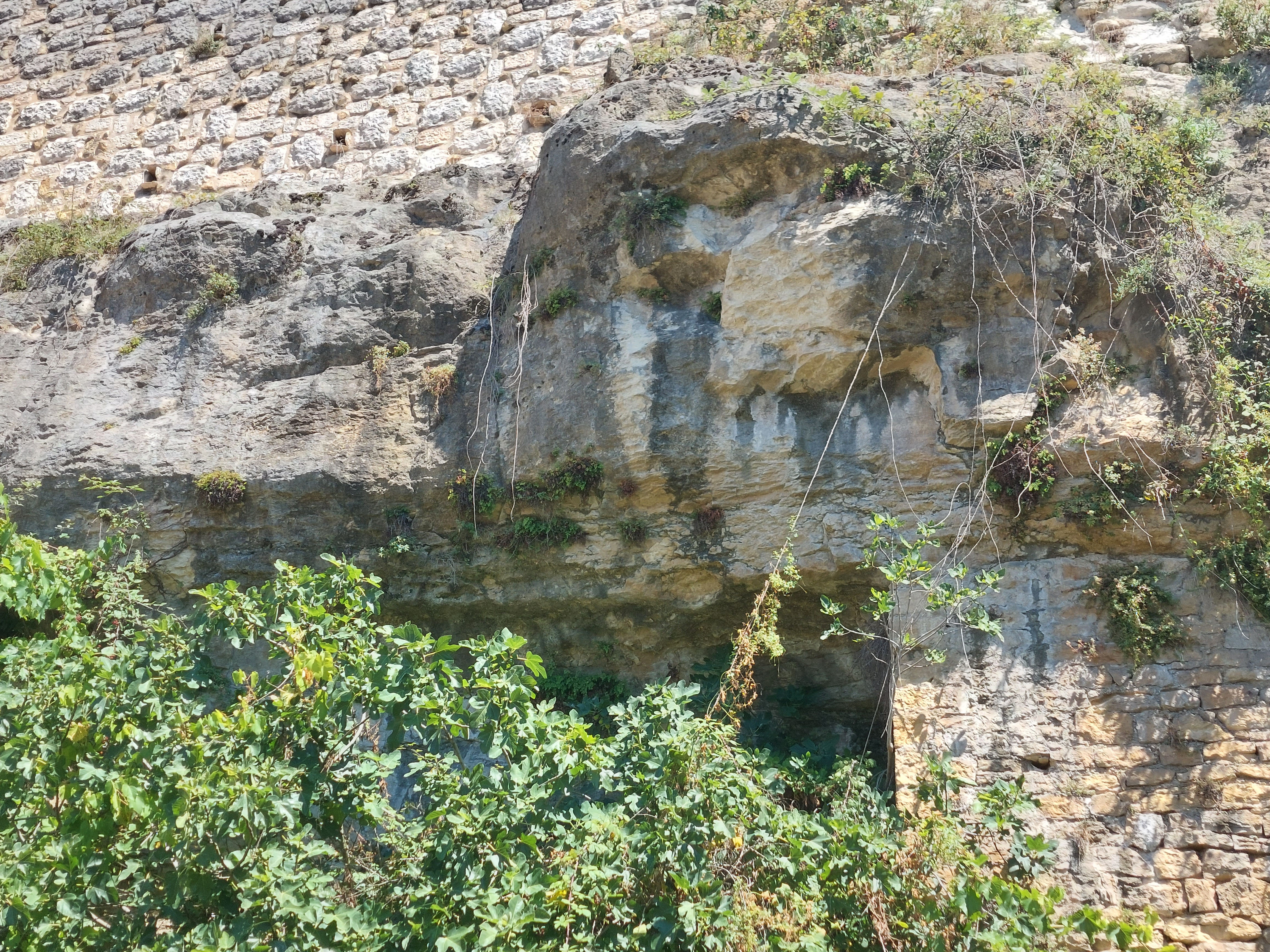 Photo n° 20 de l'avis de Florence.R fait le 27/07/2022 à 19:14