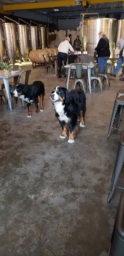 Vineyard «Black Birch Vineyard/ Black Birch Winery», reviews and photos, 108-109 Straits Rd, Hatfield, MA 01066, USA