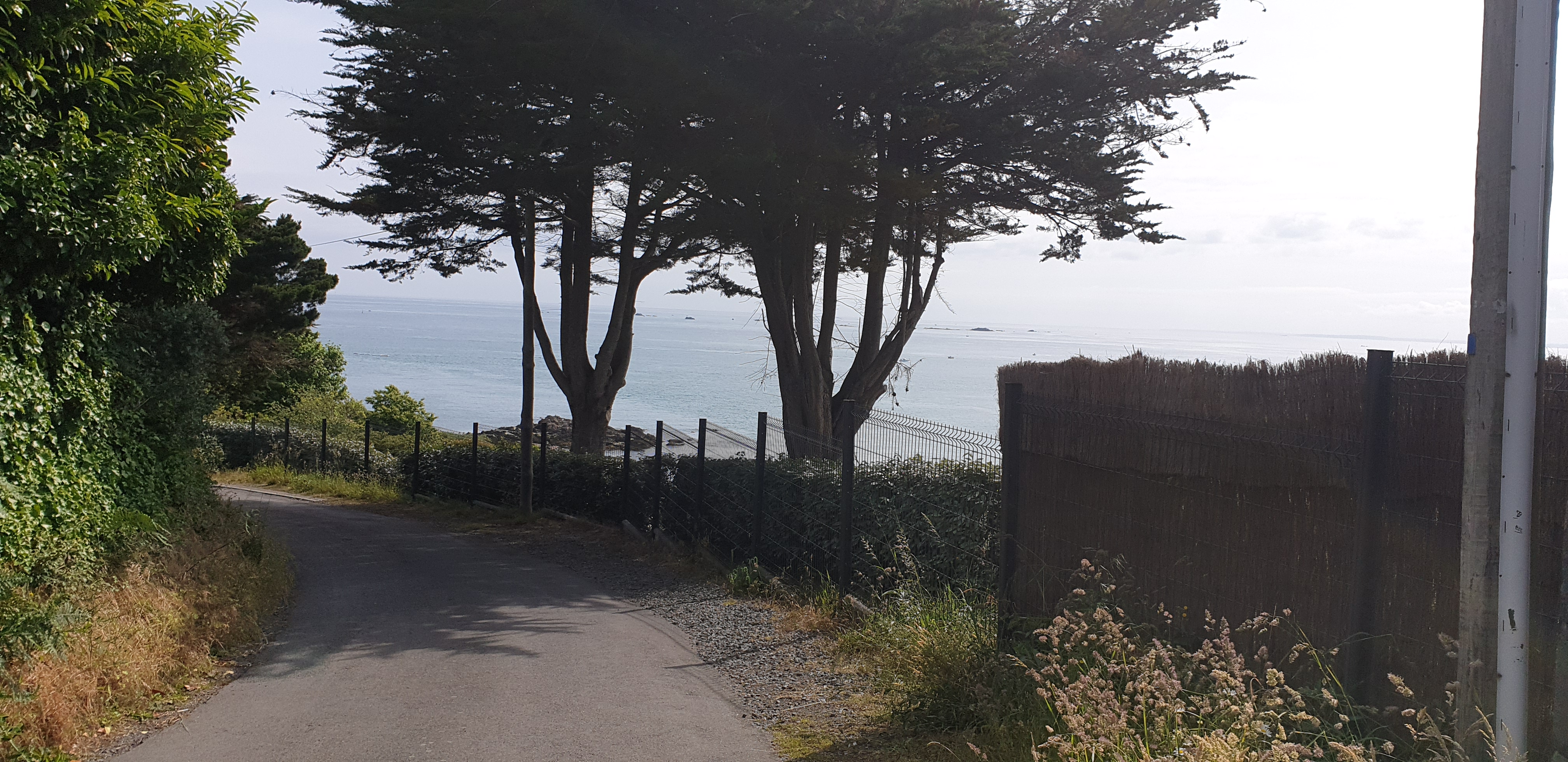 Photo n° 2 de l'avis de Chriss.e fait le 12/06/2019 à 12:30