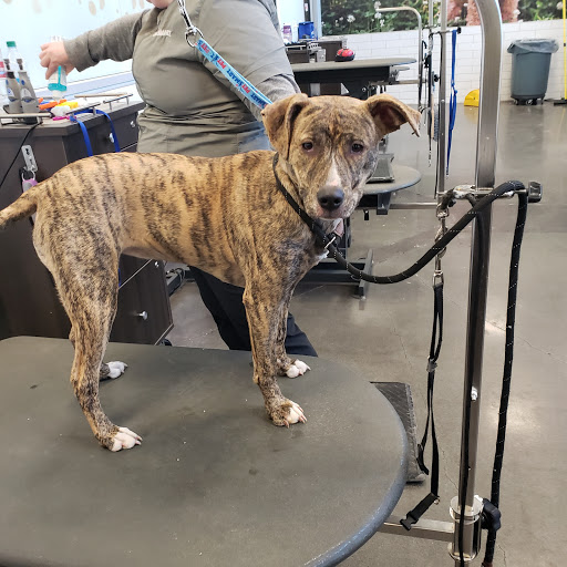 Pet Store «PetSmart», reviews and photos, 14903 4th Ave SW Ste 200, Burien, WA 98166, USA