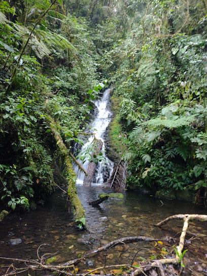 Reserva Natural La Patasola